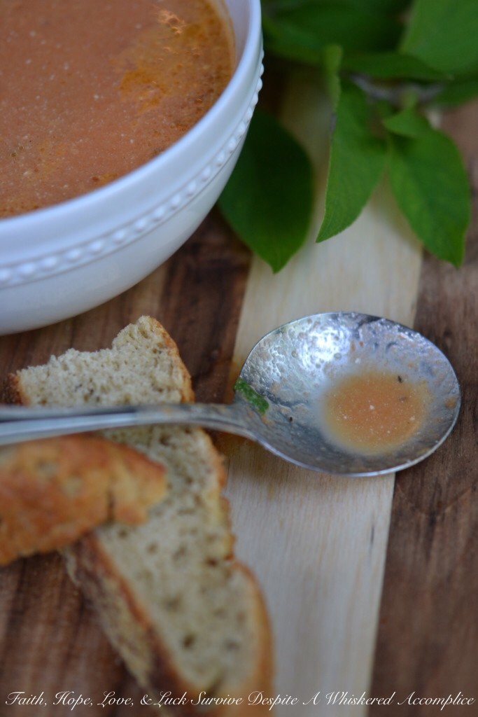 Sweet Tomato Soup | Faith, Hope, Love, and Luck Survive Despite a Whiskered Accomplice