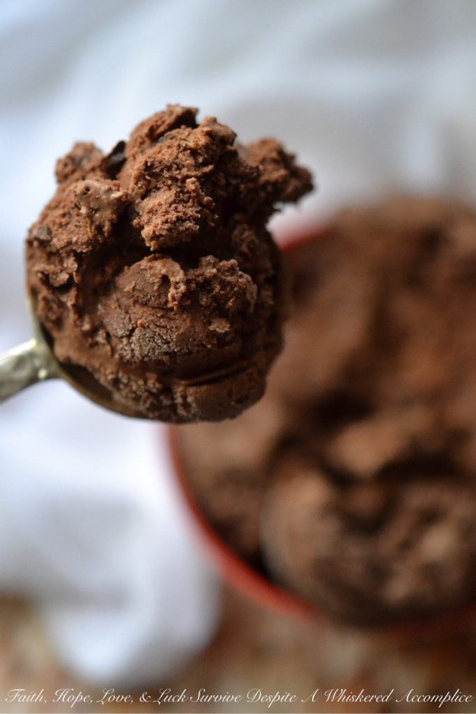 Chocolate Chocolate Simple Ice Cream - This is the perfect frozen treat for even the most dedicated chocolate lover. It's simple to make, decadent, super rich, and packed with chocolaty flavor. If you're a true chocoholic, this is definitely the double chocolate ice cream recipe for you.