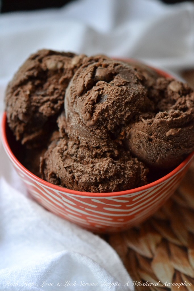 Chocolate Chocolate Simple Ice Cream - This is the perfect frozen treat for even the most dedicated chocolate lover. It's simple to make, decadent, super rich, and packed with chocolaty flavor. If you're a true chocoholic, this is definitely the double chocolate ice cream recipe for you.