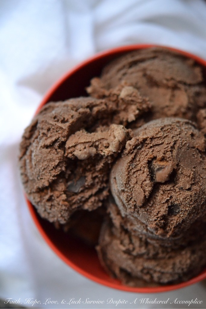 Chocolate Chocolate Simple Ice Cream - This is the perfect frozen treat for even the most dedicated chocolate lover. It's simple to make, decadent, super rich, and packed with chocolaty flavor. If you're a true chocoholic, this is definitely the double chocolate ice cream recipe for you.