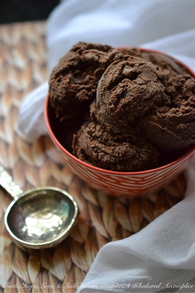 Chocolate Chocolate Simple Ice Cream - This is the perfect frozen treat for even the most dedicated chocolate lover. It's simple to make, decadent, super rich, and packed with chocolaty flavor. If you're a true chocoholic, this is definitely the double chocolate ice cream recipe for you.