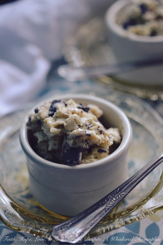 Toasted Mounds Ice Cream - Toasted Mounds ice cream is a coconut lover's dream come true. The sweet buttery toasted coconut flakes mixed with the dark chocolate chunks are truly an irresistible combination. And, while I can certainly understand why some people may not be a fan of coconut, for those who are, this ice cream is a must-try.