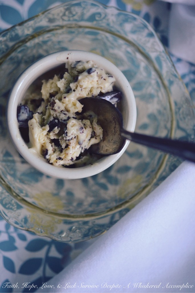 Toasted Mounds Ice Cream - Toasted Mounds ice cream is a coconut lover's dream come true. The sweet buttery toasted coconut flakes mixed with the dark chocolate chunks are truly an irresistible combination. And, while I can certainly understand why some people may not be a fan of coconut, for those who are, this ice cream is a must-try.