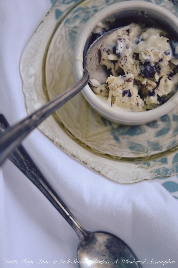 Toasted Mounds Ice Cream - Toasted Mounds ice cream is a coconut lover's dream come true. The sweet buttery toasted coconut flakes mixed with the dark chocolate chunks are truly an irresistible combination. And, while I can certainly understand why some people may not be a fan of coconut, for those who are, this ice cream is a must-try.