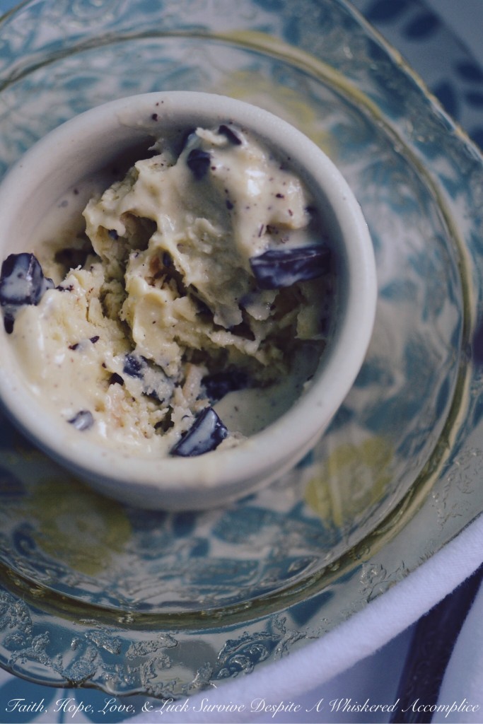 Toasted Mounds Ice Cream - Toasted Mounds ice cream is a coconut lover's dream come true. The sweet buttery toasted coconut flakes mixed with the dark chocolate chunks are truly an irresistible combination. And, while I can certainly understand why some people may not be a fan of coconut, for those who are, this ice cream is a must-try.