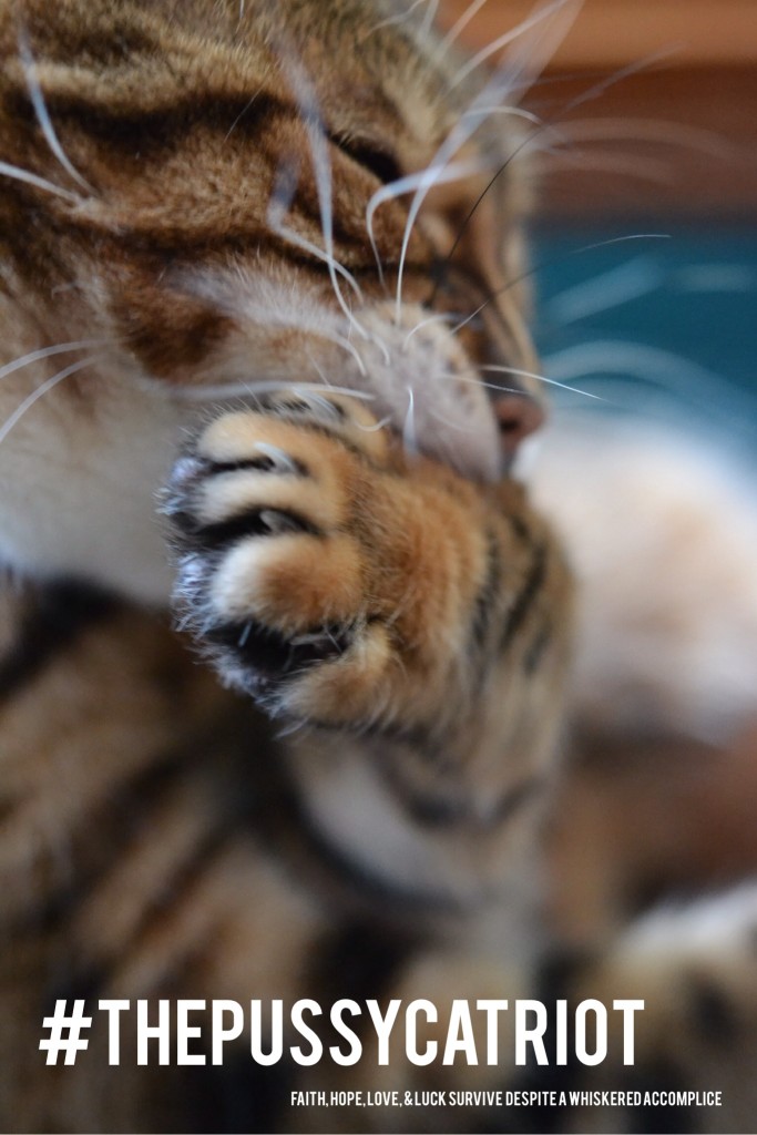 The Pussycat Riot | Faith, Hope, Love, and Luck Survive Despite a Whiskered Accomplice