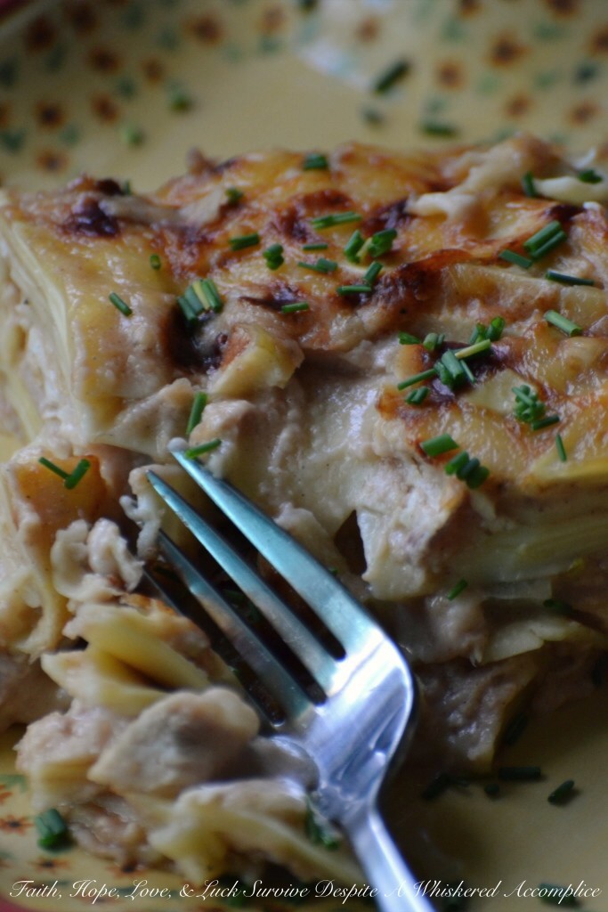 Apple Butter Mac and Cheese with Rotisserie Chicken | Faith, Hope, Love, and Luck Survive Despite a Whiskered Accomplice