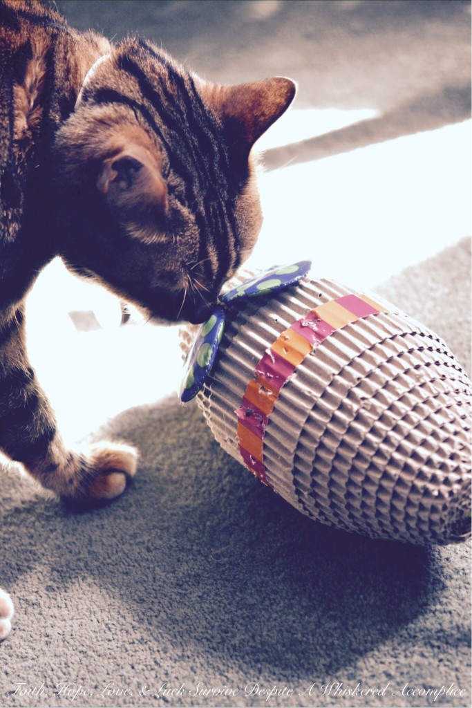 Happy Caturday! - 09/26/2015 | Faith, Hope, Love, and Luck Survive Despite a Whiskered Accomplice