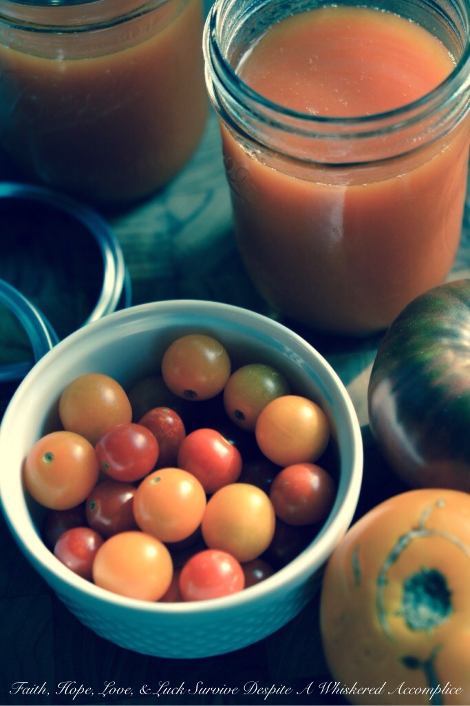 Garden Fresh Tomato Juice | Faith, Hope, Love, and Luck Survive Despite a Whiskered Accomplice