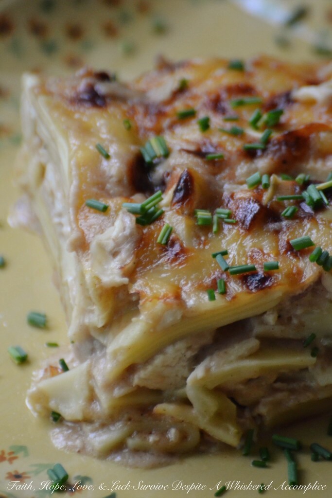Apple Butter Mac and Cheese with Rotisserie Chicken | Faith, Hope, Love, and Luck Survive Despite a Whiskered Accomplice