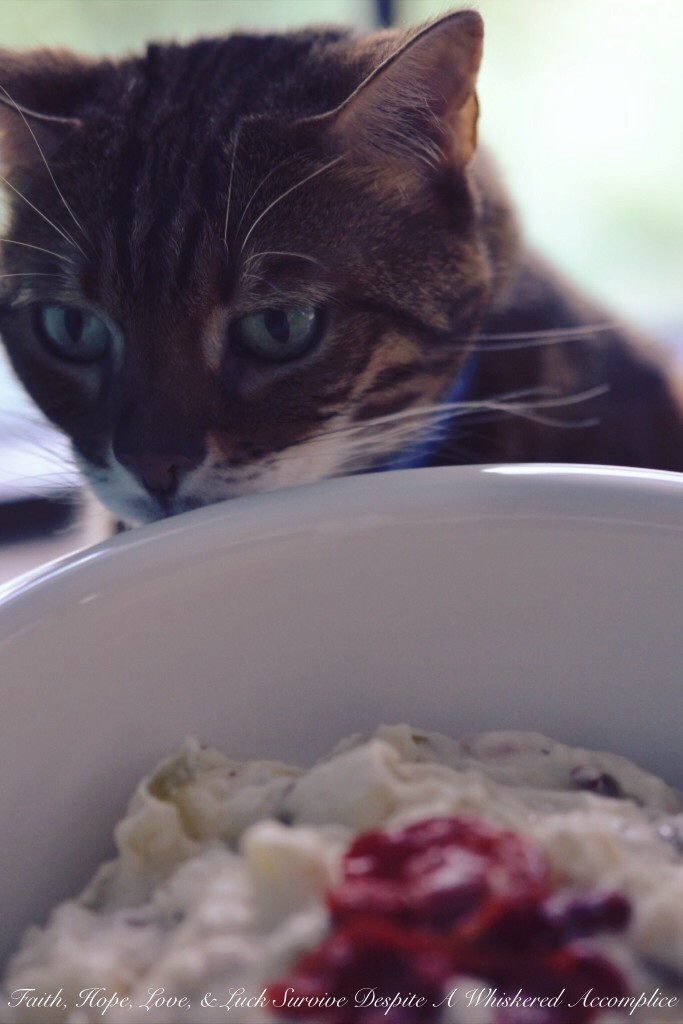 Last-Minute Potato Salad | Faith, Hope, Love, and Luck Survive Despite a Whiskered Accomplice