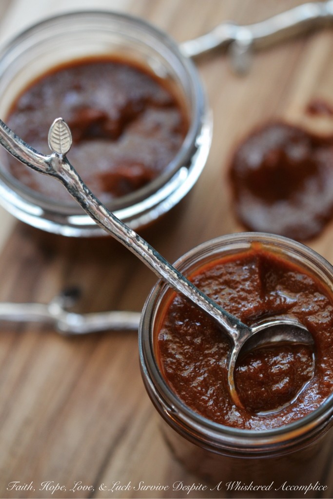 Oktoberfest BBQ Sauce - Looking to incorporate some festive Oktoberfest spirit into your fall cooking? This homemade autumn-inspired barbecue sauce perfectly blends the malty flavors of Oktoberfest beer with sweet, crisp apple, savory onion, and tangy ketchup. It's spiced to perfection, and the only tough decision you'll have this fall is deciding what to enjoy it on or with first.