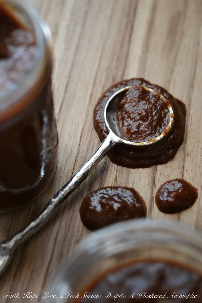 Oktoberfest BBQ Sauce - Looking to incorporate some festive Oktoberfest spirit into your fall cooking? This homemade autumn-inspired barbecue sauce perfectly blends the malty flavors of Oktoberfest beer with sweet, crisp apple, savory onion, and tangy ketchup. It's spiced to perfection, and the only tough decision you'll have this fall is deciding what to enjoy it on or with first.