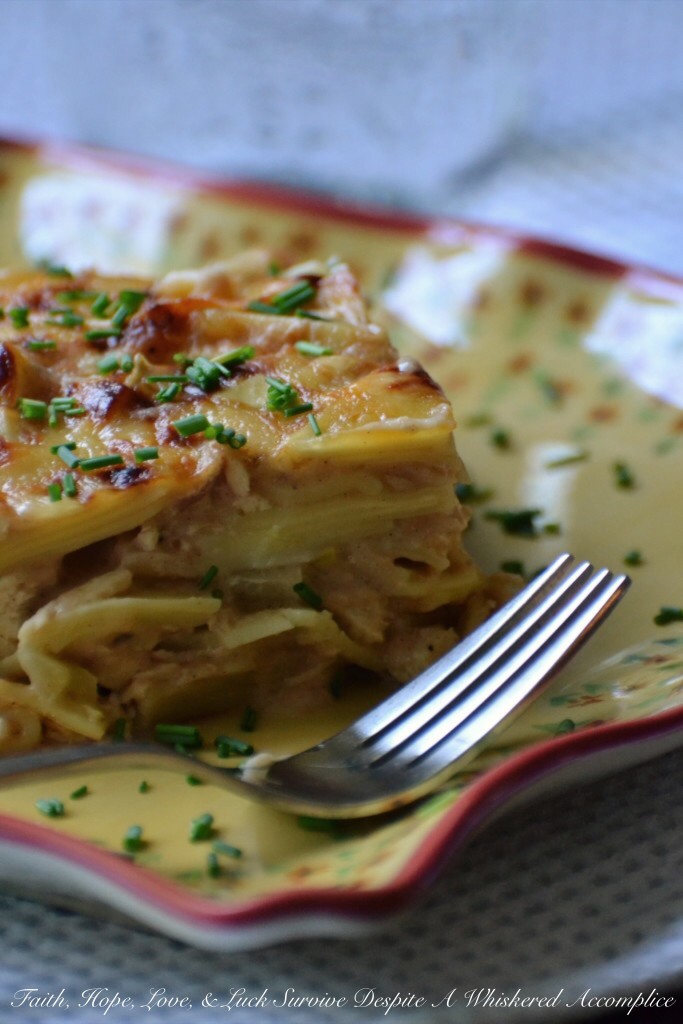 Apple Butter Mac and Cheese with Rotisserie Chicken | Faith, Hope, Love, and Luck Survive Despite a Whiskered Accomplice