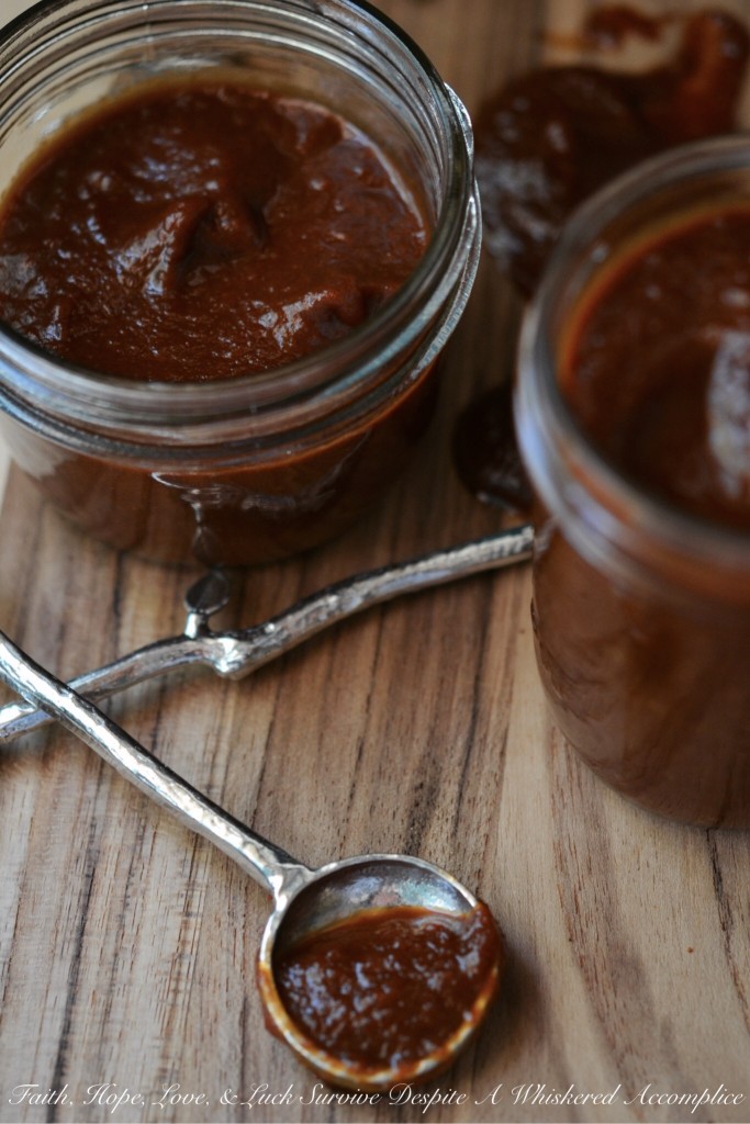 Oktoberfest BBQ Sauce - Looking to incorporate some festive Oktoberfest spirit into your fall cooking? This homemade autumn-inspired barbecue sauce perfectly blends the malty flavors of Oktoberfest beer with sweet, crisp apple, savory onion, and tangy ketchup. It's spiced to perfection, and the only tough decision you'll have this fall is deciding what to enjoy it on or with first.