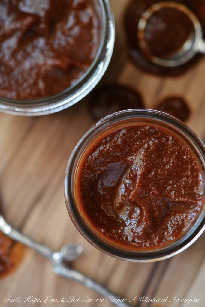 Oktoberfest BBQ Sauce - Looking to incorporate some festive Oktoberfest spirit into your fall cooking? This homemade autumn-inspired barbecue sauce perfectly blends the malty flavors of Oktoberfest beer with sweet, crisp apple, savory onion, and tangy ketchup. It's spiced to perfection, and the only tough decision you'll have this fall is deciding what to enjoy it on or with first.