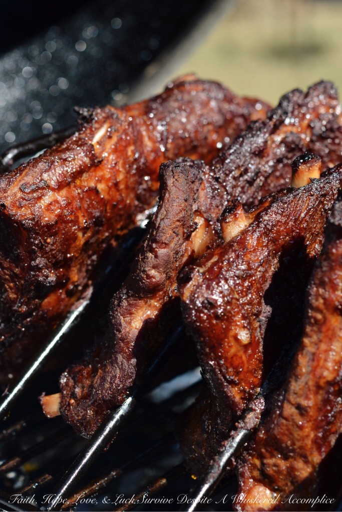 Dry Rubbed BBQ Ribs | Faith, Hope, Love, and Luck Survive Despite a Whiskered Accomplice