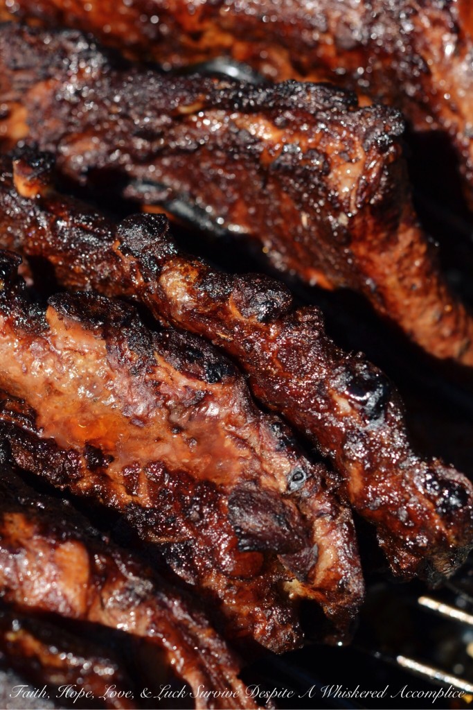 Dry Rubbed BBQ Ribs | Faith, Hope, Love, and Luck Survive Despite a Whiskered Accomplice