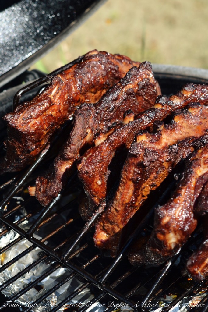 Dry Rubbed BBQ Ribs | Faith, Hope, Love, and Luck Survive Despite a Whiskered Accomplice