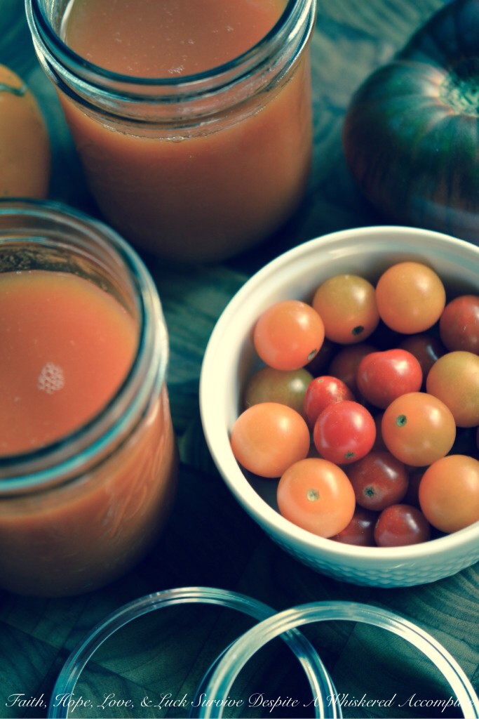 Garden Fresh Tomato Juice | Faith, Hope, Love, and Luck Survive Despite a Whiskered Accomplice