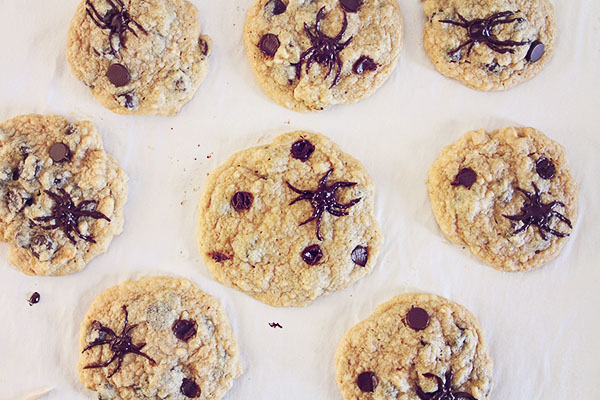 Spider Chocolate Chip Cookies | Faith, Hope, Love, and Luck Survive Despite a Whiskered Accomplice