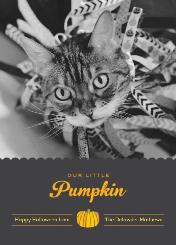 Happy Caturday! - Halloween 2015 | Faith, Hope, Love, and Luck Survive Despite a Whiskered Accomplice