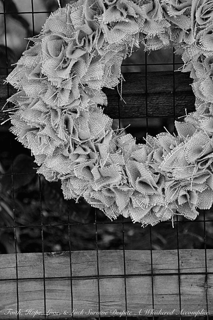 A Neutral Wreath for All Seasons | Faith, Hope, Love, and Luck Survive Despite a Whiskered Accomplice