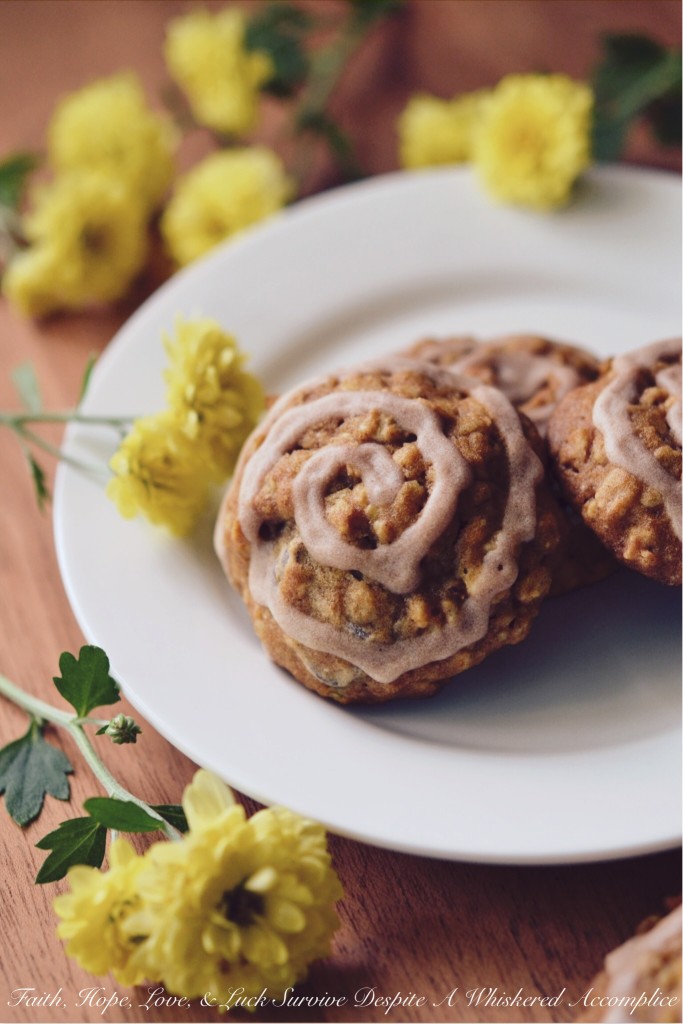 Cinnamon Swirl Pumpkin Chocolate Chip Cookies - These chocolate chip cookies are the perfect autumn treat. Loaded with canned pumpkin, quick-cooking oats, chocolate chips, ground cinnamon, and a touch of honey, these cookies are full of both flavor and texture. And, best of all, these moist pumpkin cookies are topped with a swirl of cinnamon sugar glaze, adding the perfect finishing touch. These sinfully delicious fall cookies are sure to become a go-to favorite.