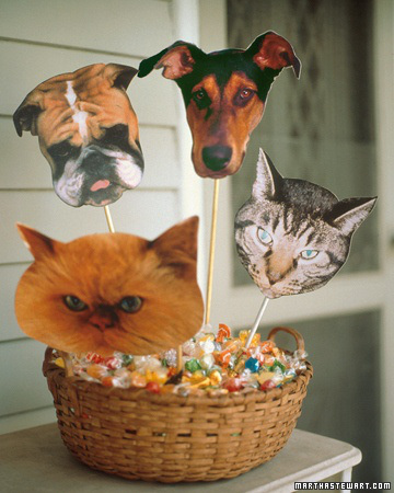 15 DIY Simple Last Minute Halloween Cosume Ideas | Faith, Hope, Love, and Luck Survive Despite a Whiskered Accomplice