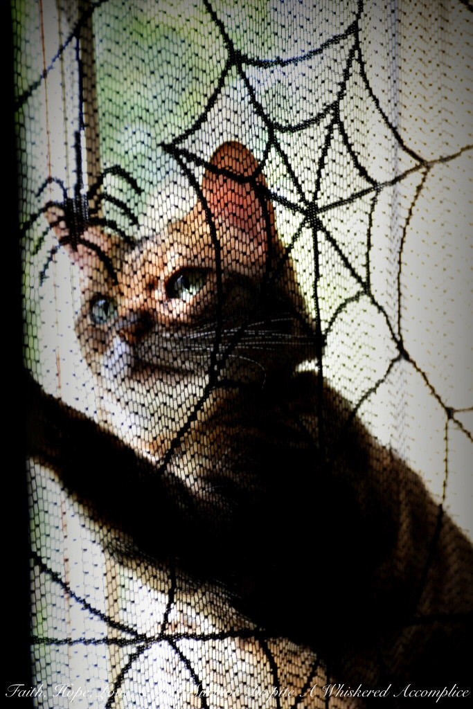 My Little Halloween Helper | Faith, Hope, Love, and Luck Survive Despite a Whiskered Accomplice