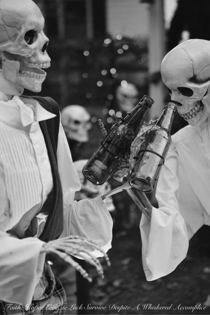 The Wake - Halloween 2015 | Faith, Hope, Love, and Luck Survive Despite a Whiskered Accomplice