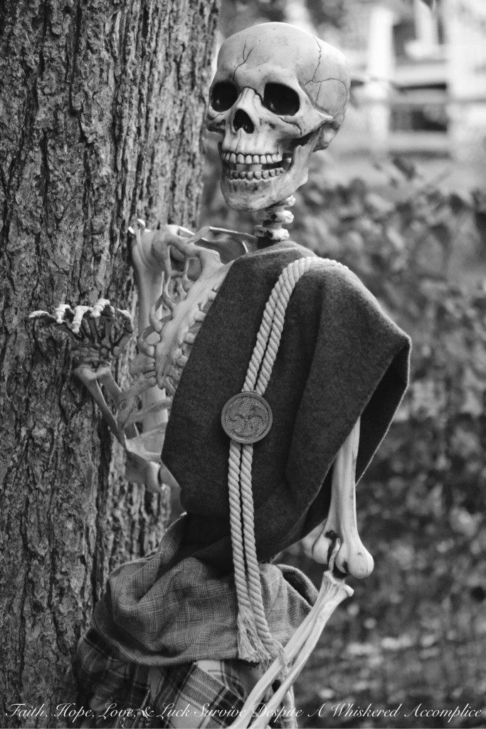 The Wake - Halloween 2015 | Faith, Hope, Love, and Luck Survive Despite a Whiskered Accomplice
