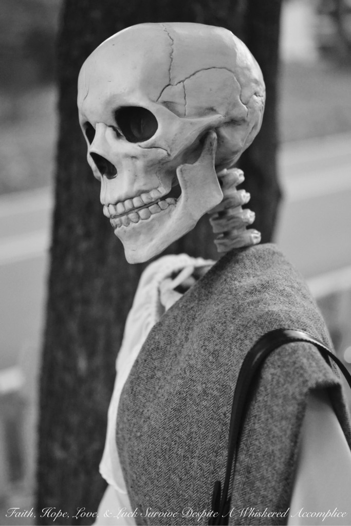 The Wake - Halloween 2015 | Faith, Hope, Love, and Luck Survive Despite a Whiskered Accomplice