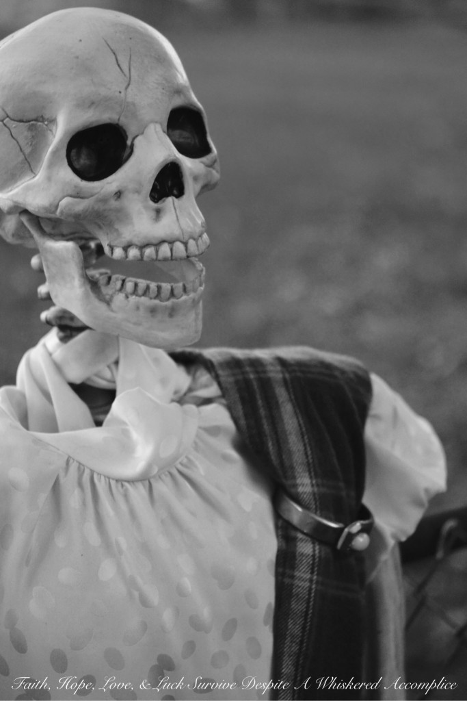 The Wake - Halloween 2015 | Faith, Hope, Love, and Luck Survive Despite a Whiskered Accomplice