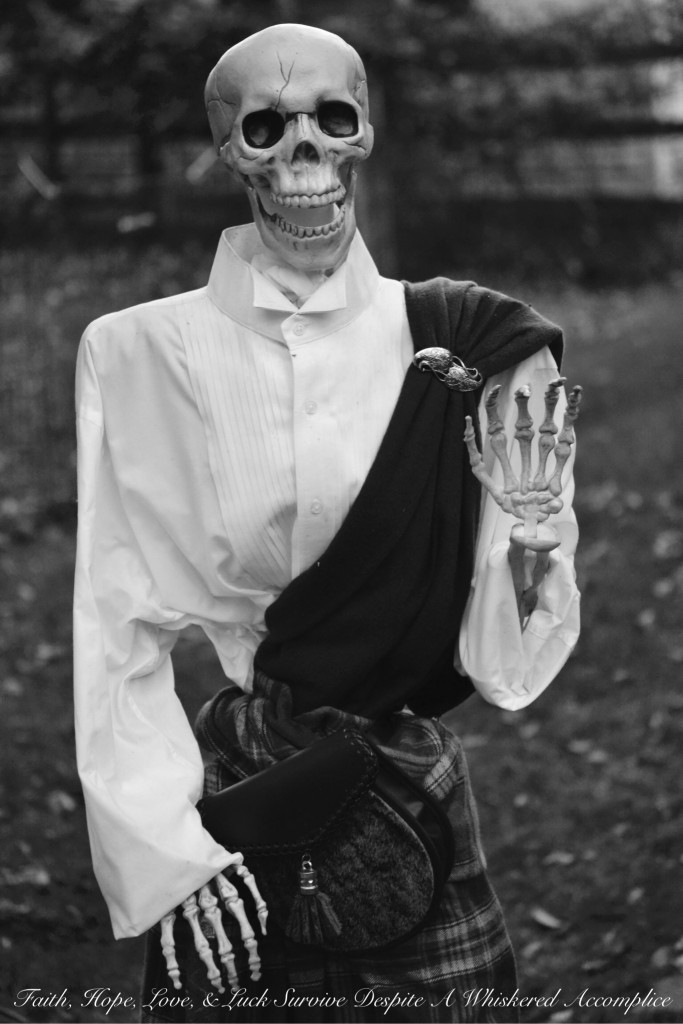 The Wake - Halloween 2015 | Faith, Hope, Love, and Luck Survive Despite a Whiskered Accomplice