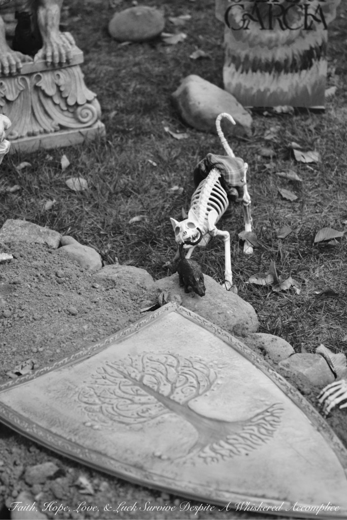 The Wake - Halloween 2015 | Faith, Hope, Love, and Luck Survive Despite a Whiskered Accomplice
