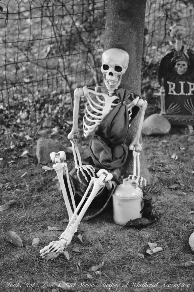 The Wake - Halloween 2015 | Faith, Hope, Love, and Luck Survive Despite a Whiskered Accomplice