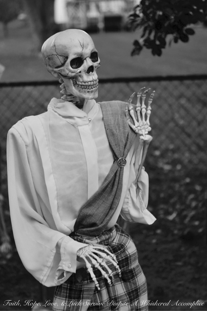 The Wake - Halloween 2015 | Faith, Hope, Love, and Luck Survive Despite a Whiskered Accomplice
