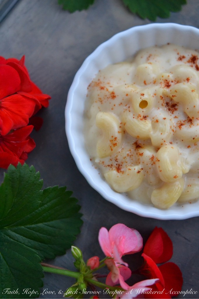 Super Duper Cheesy White Macaroni and Cheese | Faith, Hope, Love, and Luck Survive Despite a Whiskered Accomplice