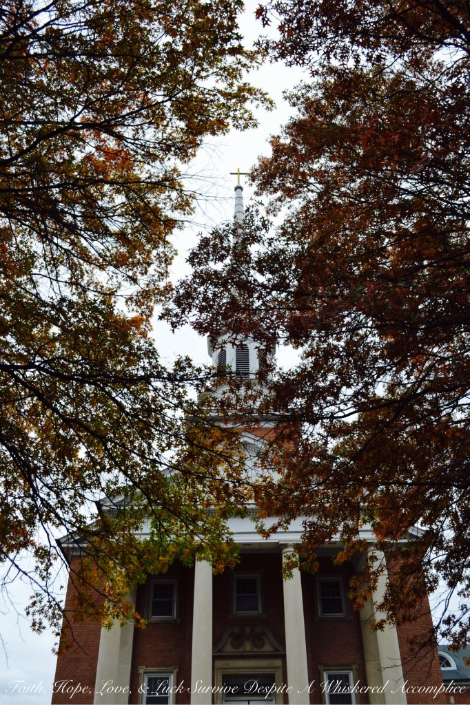 Falling Leaves in Cumberland | Faith, Hope, Love, and Luck Survive Despite a Whiskered Accomplice