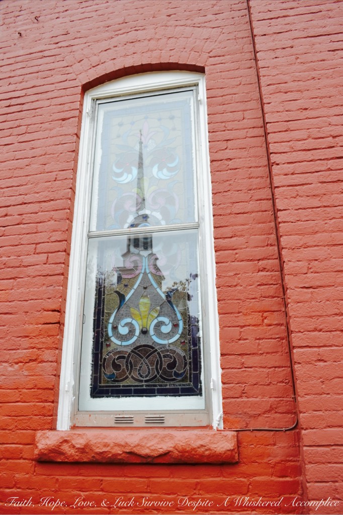 Falling Leaves in Cumberland | Faith, Hope, Love, and Luck Survive Despite a Whiskered Accomplice