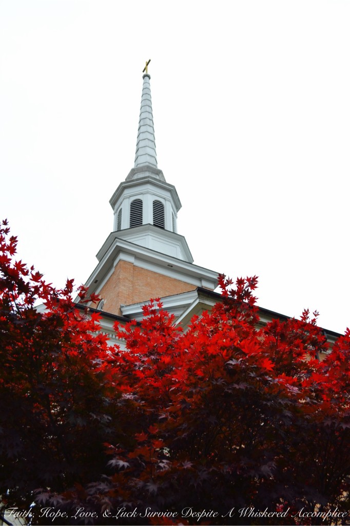 Falling Leaves in Cumberland | Faith, Hope, Love, and Luck Survive Despite a Whiskered Accomplice