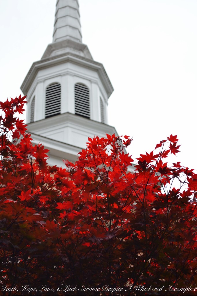 Falling Leaves in Cumberland | Faith, Hope, Love, and Luck Survive Despite a Whiskered Accomplice