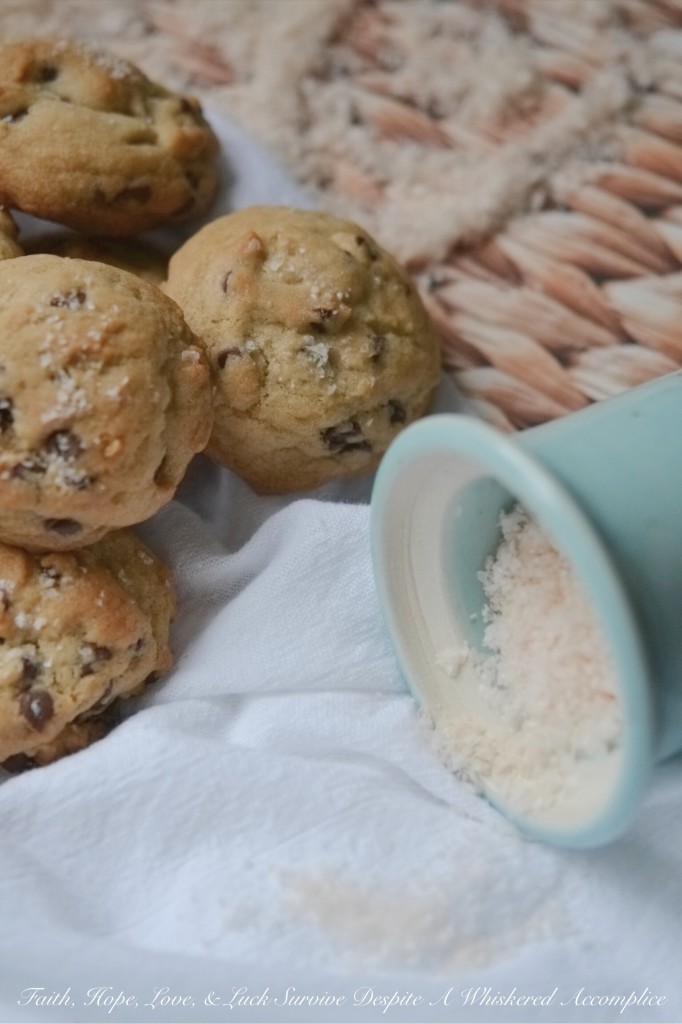 Mini Chocolate Chip Cookies with Sea Salt | Faith, Hope, Love, and Luck Survive Despite a Whiskered Accomplice