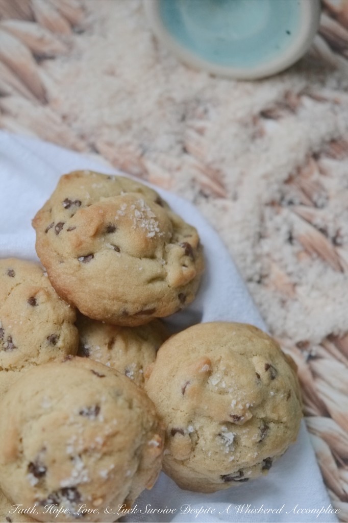Mini Chocolate Chip Cookies with Sea Salt | Faith, Hope, Love, and Luck Survive Despite a Whiskered Accomplice