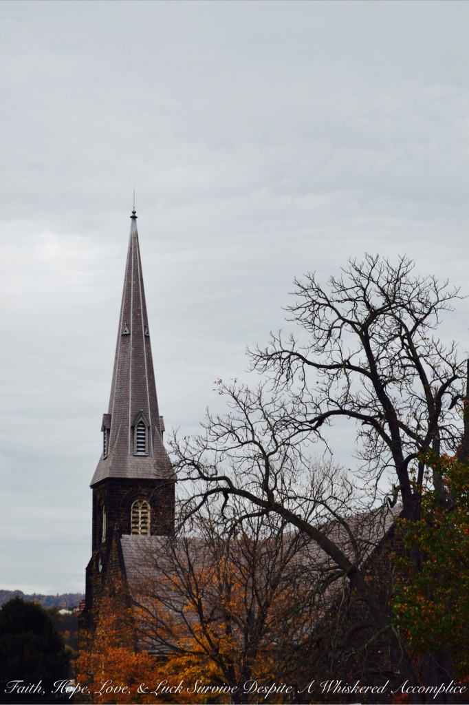 Falling Leaves in Cumberland | Faith, Hope, Love, and Luck Survive Despite a Whiskered Accomplice