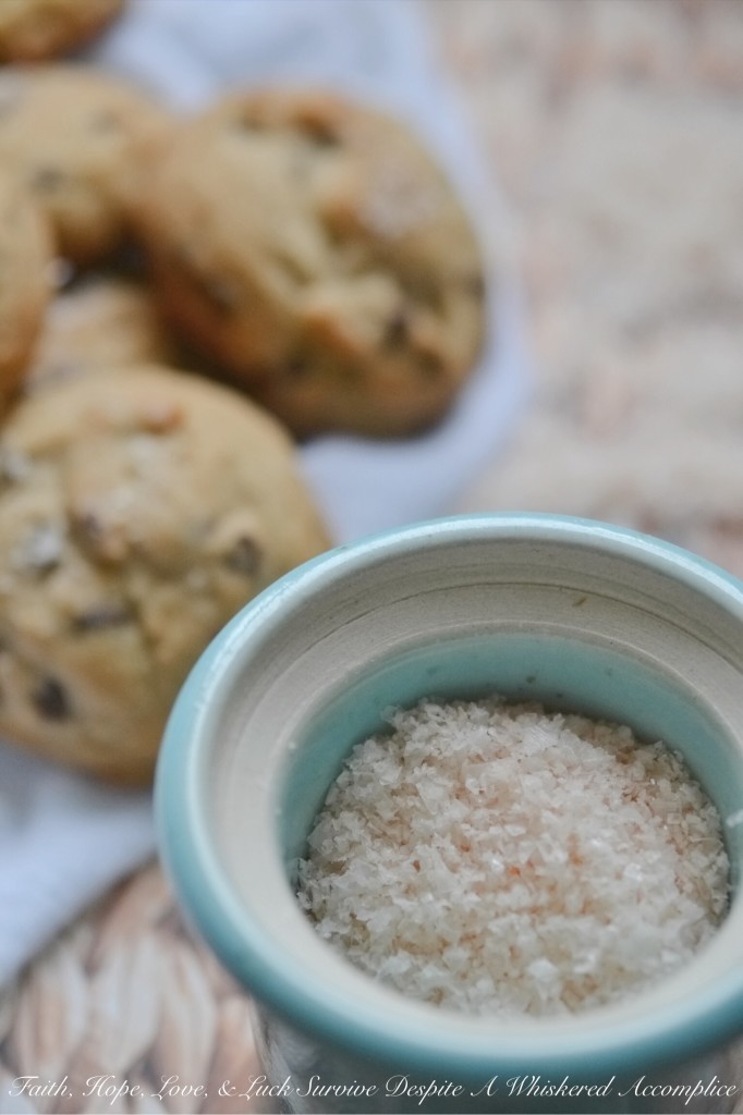 Mini Chocolate Chip Cookies with Sea Salt | Faith, Hope, Love, and Luck Survive Despite a Whiskered Accomplice