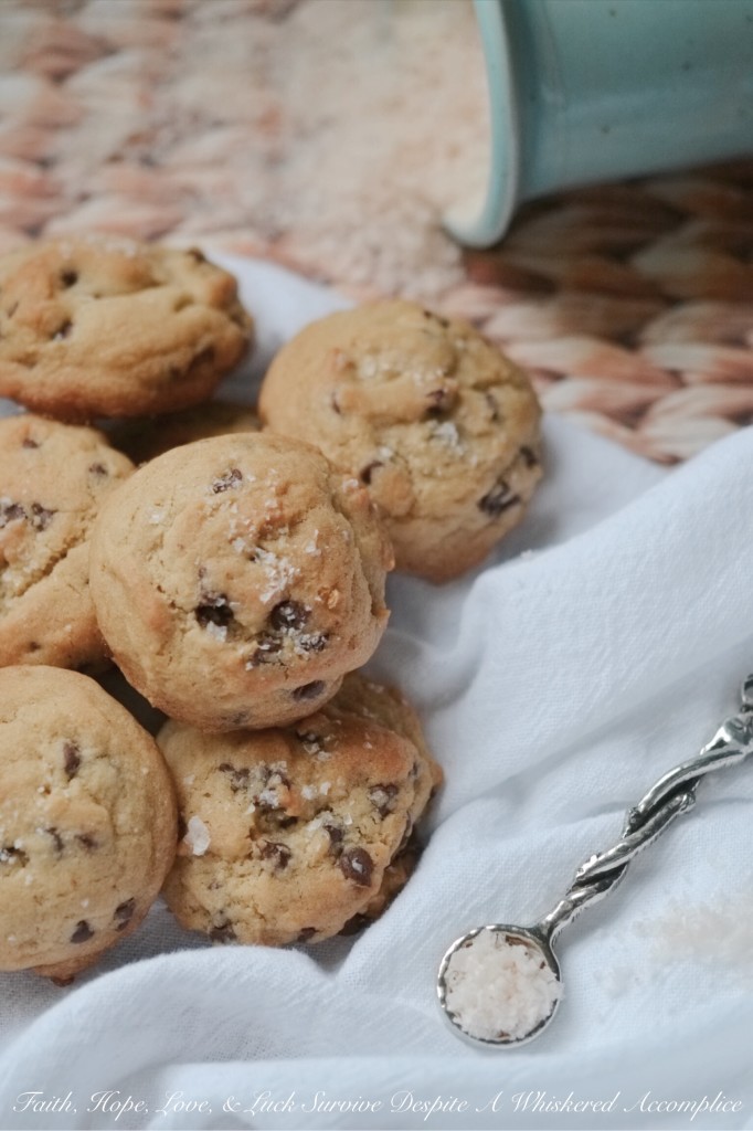 Mini Chocolate Chip Cookies with Sea Salt | Faith, Hope, Love, and Luck Survive Despite a Whiskered Accomplice