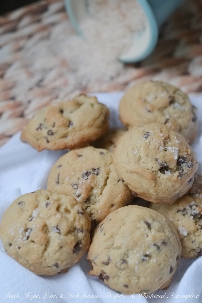 Mini Chocolate Chip Cookies with Sea Salt | Faith, Hope, Love, and Luck Survive Despite a Whiskered Accomplice