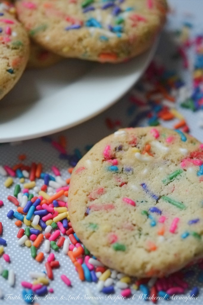 Snazzy Vanilla Rainbow Sprinkle Cookies | Faith, Hope, Love, and Luck Survive Despite a Whiskered Accomplice